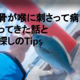 魚の骨が喉に刺さって病院に行ってきた話と病院探しのTips